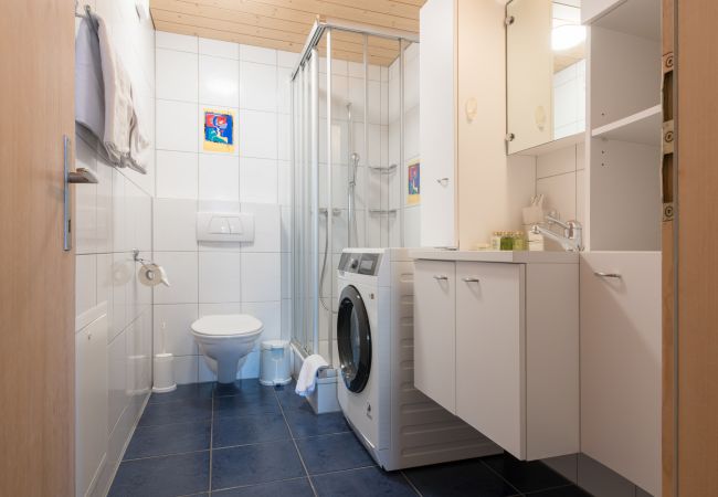 Apartment in Wengen - Chalet Millennium Penthouse Apartment in Wengen - Chalet Millennium Penthouse