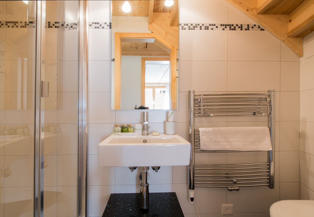 Apartment in Wengen - Chalet Stella Penthouse Residence Apartment in Wengen - Chalet Stella Penthouse Residence