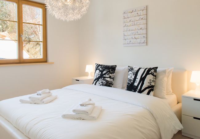 Apartment in Wengen - Panoramapark Soleil Eisblume Apt. 4 Apartment in Wengen - Panoramapark Soleil Eisblume Apt. 4