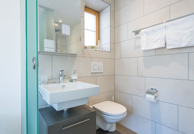 Apartment in Wengen - Panoramapark Soleil Eisblume Apt. 4 Apartment in Wengen - Panoramapark Soleil Eisblume Apt. 4