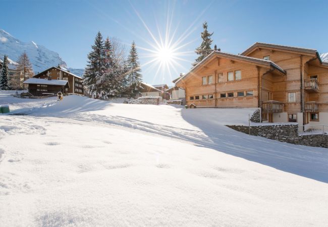 Apartment in Wengen - Chalet Sole Apt. 2 Apartment in Wengen - Chalet Sole Apt. 2