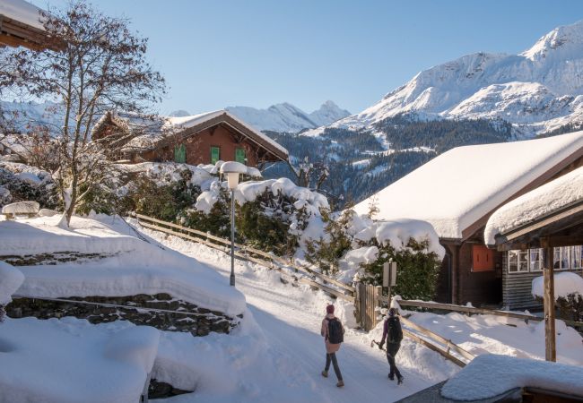 Apartment in Wengen - Chalet Sole Apt. 2 Apartment in Wengen - Chalet Sole Apt. 2