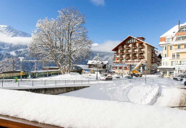 Apartment in Wengen - Chalet Waldschluecht Apartment in Wengen - Chalet Waldschluecht