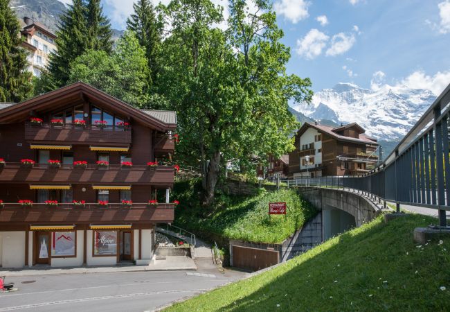Apartment in Wengen - Chalet Waldschluecht Apartment in Wengen - Chalet Waldschluecht