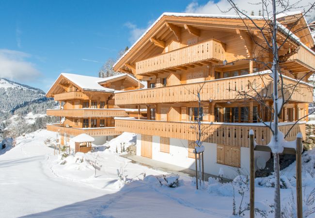 Apartment in Wengen - Panoramapark Soleil Camelia Apt. Akroyd Apartment in Wengen - Panoramapark Soleil Camelia Apt. Akroyd