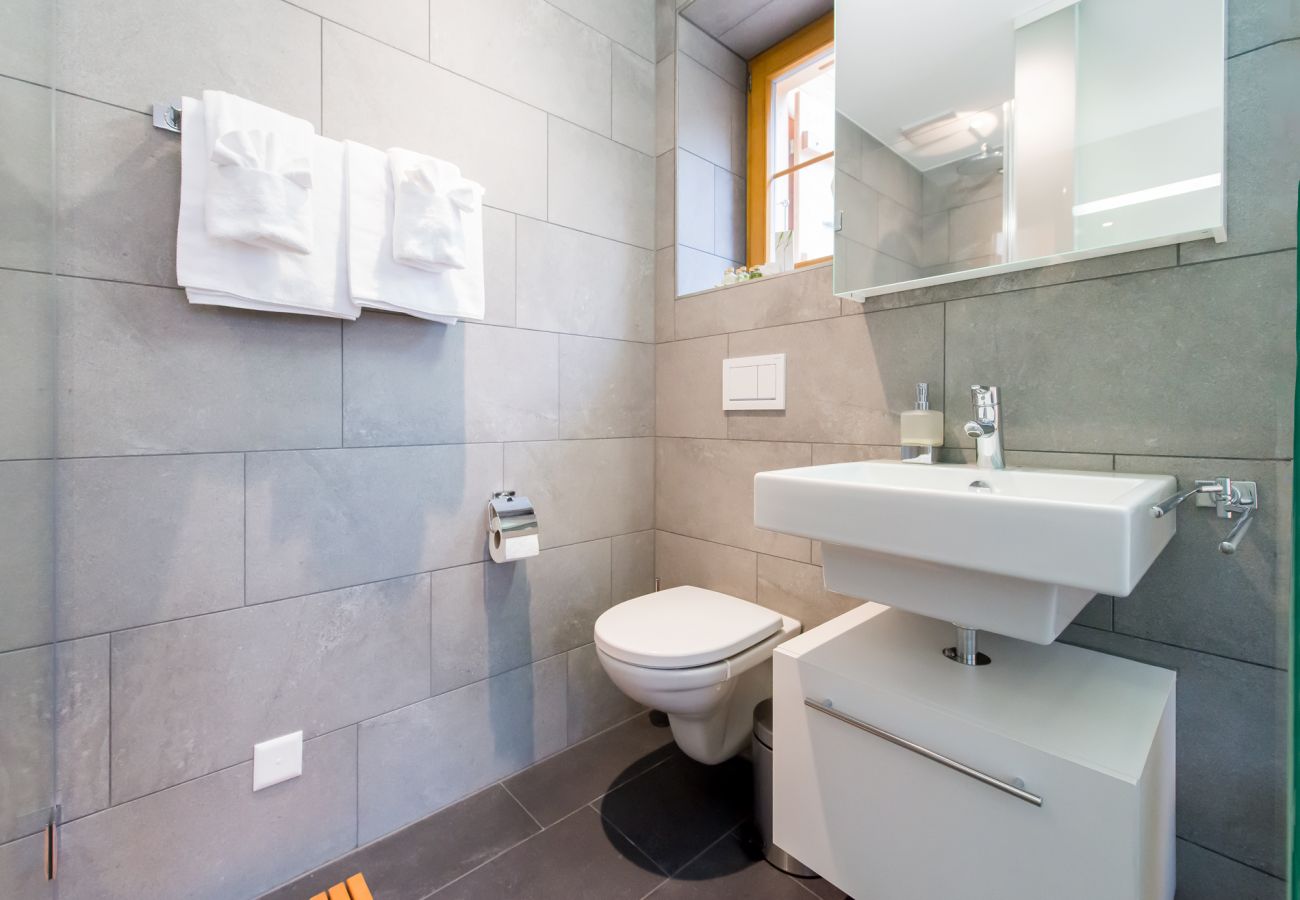 Apartment in Wengen - Panoramapark Soleil Camelia Apt. Akroyd Apartment in Wengen - Panoramapark Soleil Camelia Apt. Akroyd