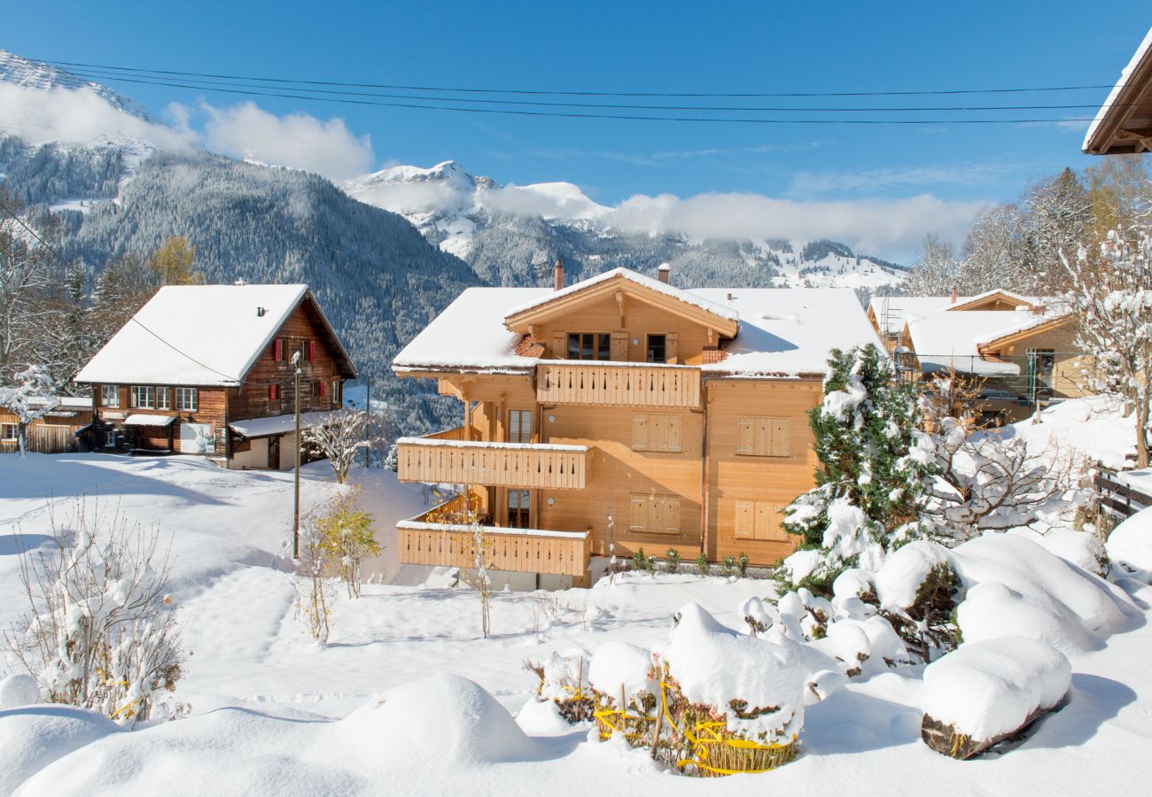 Apartment in Wengen - Panoramapark Soleil Camelia Apt. Akroyd Apartment in Wengen - Panoramapark Soleil Camelia Apt. Akroyd