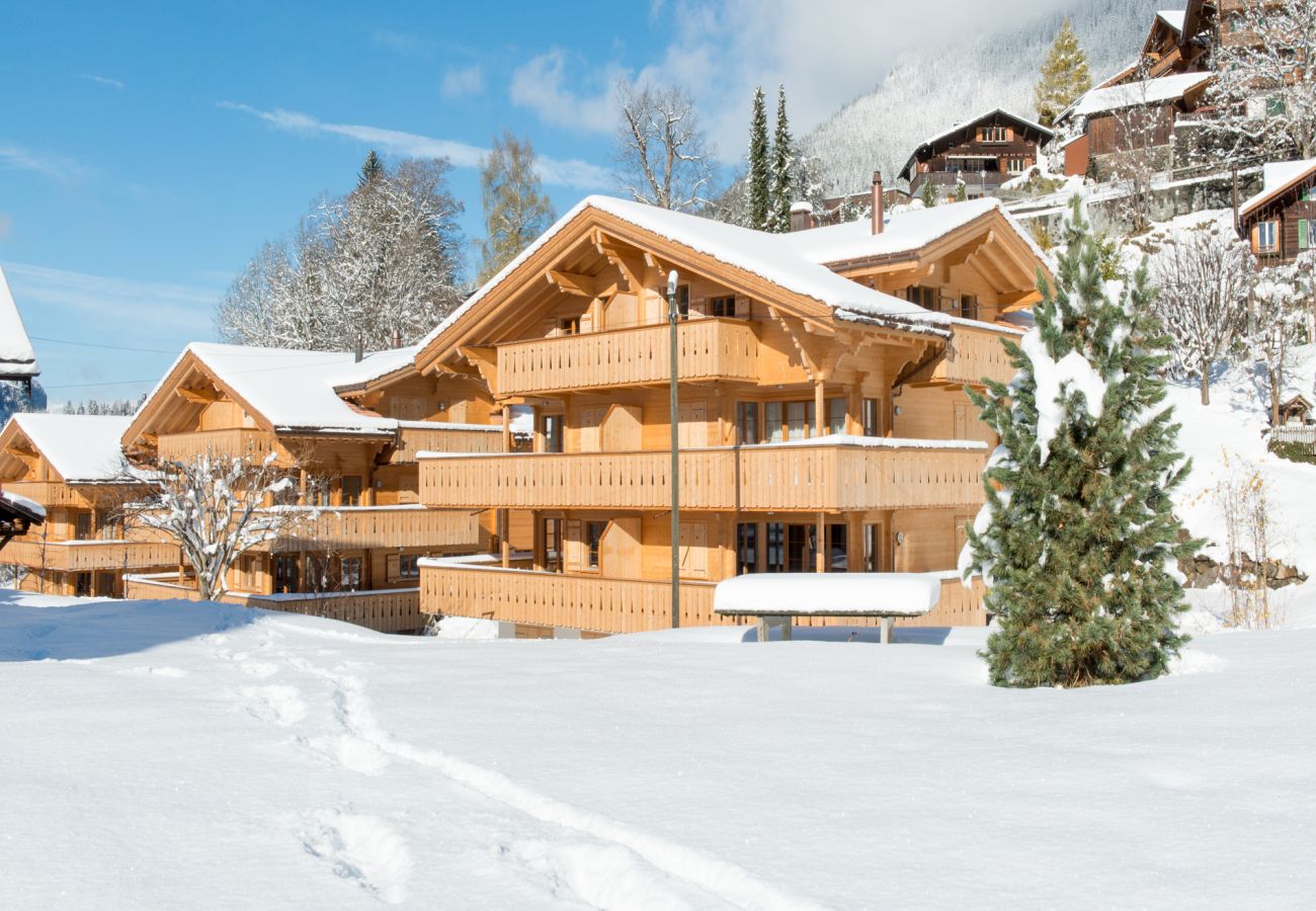 Apartment in Wengen - Panoramapark Soleil Camelia Apt. Akroyd Apartment in Wengen - Panoramapark Soleil Camelia Apt. Akroyd