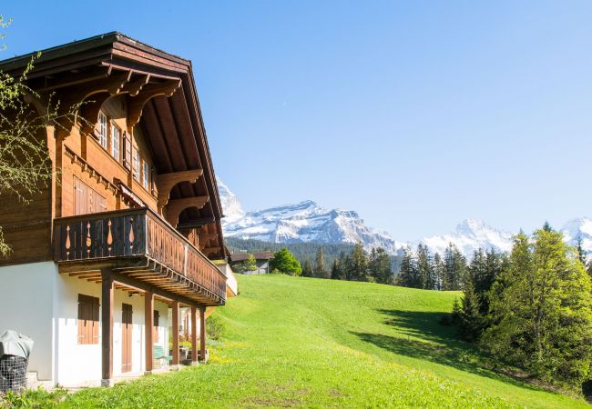 Apartment in Wengen - Chalet Irene Penthouse Apartment in Wengen - Chalet Irene Penthouse