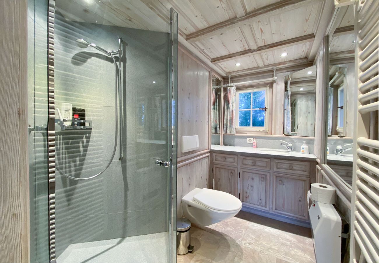 Apartment in Wengen - Chalet Irene Penthouse Apartment in Wengen - Chalet Irene Penthouse