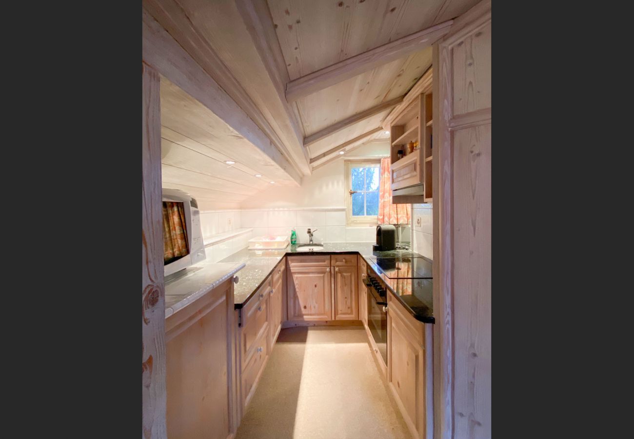 Apartment in Wengen - Chalet Irene Penthouse Apartment in Wengen - Chalet Irene Penthouse