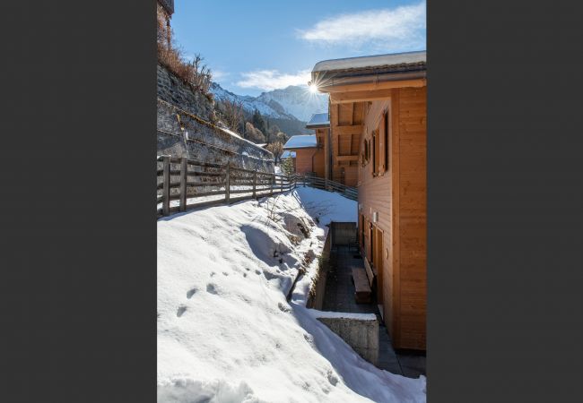 Chalet in Wengen - Racers Retreat 3 Chalet in Wengen - Racers Retreat 3