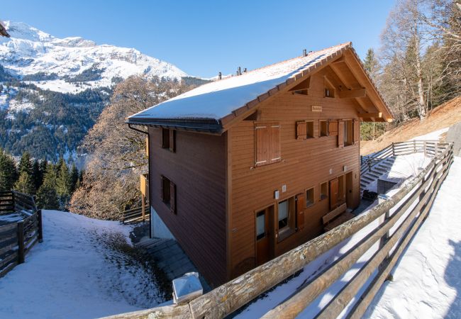 Chalet in Wengen - Racers Retreat 3 Chalet in Wengen - Racers Retreat 3