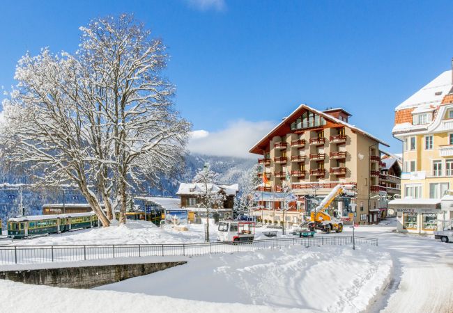 Eiger Residence - Apartment in Wengen eiger-residence-apartment-in-wengen