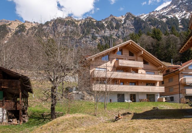 Apartment in Wengen - Chalet Mönchsbüffel Apartment in Wengen - Chalet Mönchsbüffel