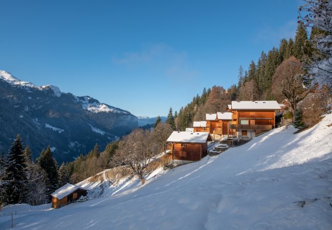 Chalet in Wengen - Racers Retreat 10 Chalet in Wengen - Racers Retreat 10