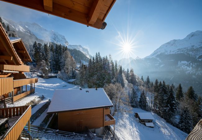 Chalet in Wengen - Racers Retreat 10 Chalet in Wengen - Racers Retreat 10