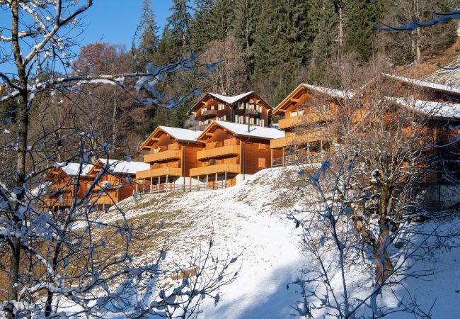 Chalet in Wengen - Racers Retreat 10 Chalet in Wengen - Racers Retreat 10