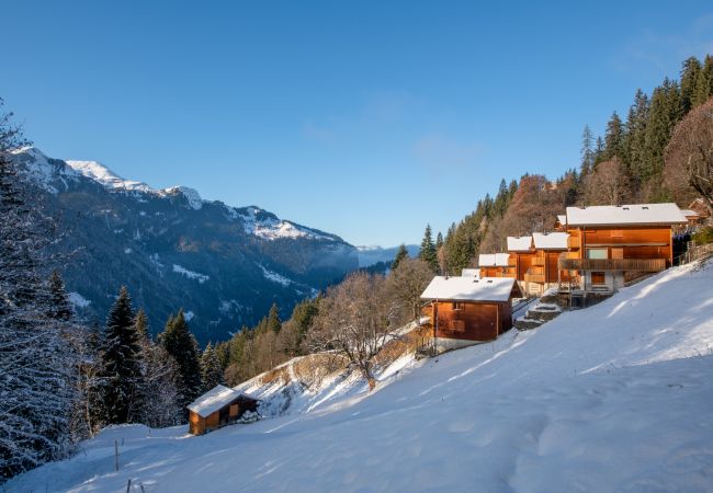 Chalet in Wengen - Racers Retreat 10 Chalet in Wengen - Racers Retreat 10