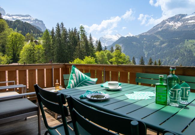 Chalet in Wengen - Racers Retreat 10 Chalet in Wengen - Racers Retreat 10