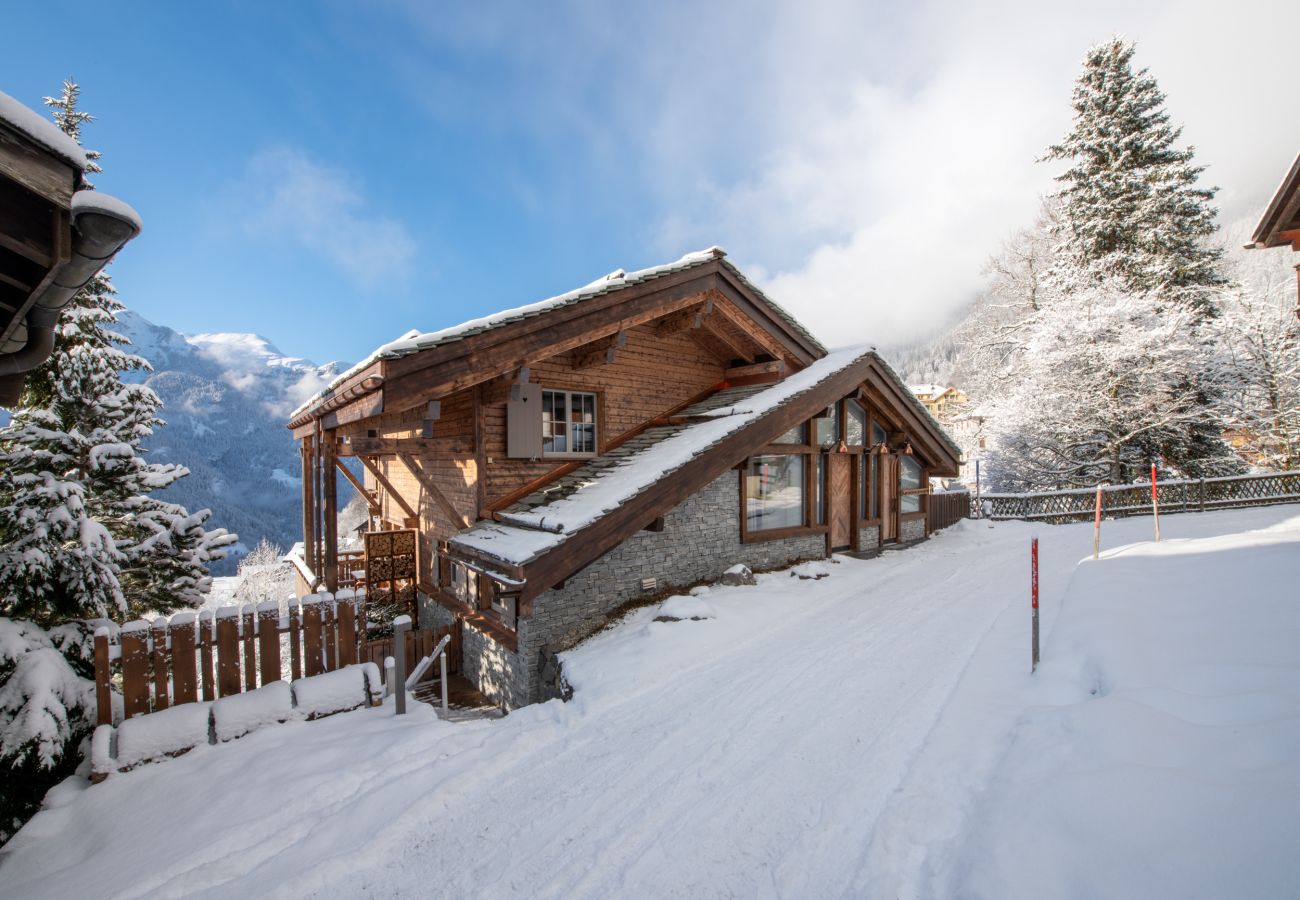 Apartment in Wengen - Chalet Hüttli
