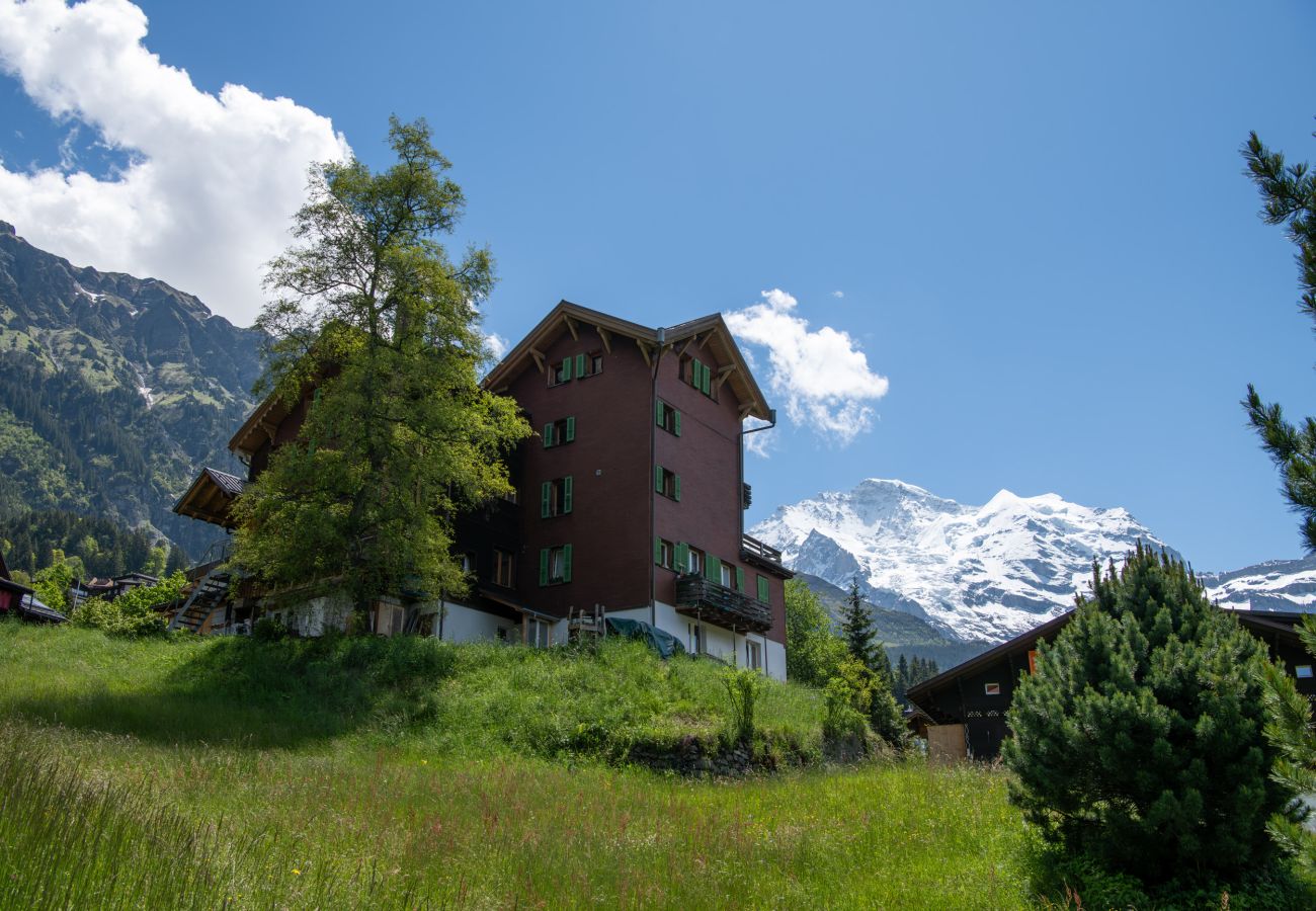 Apartment in Wengen - Chalet Montana Apt. 2OG Apartment in Wengen - Chalet Montana Apt. 2OG