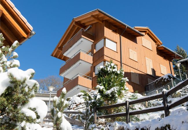 Apartment in Wengen - Chalet Sterndolde Apt. 1 Apartment in Wengen - Chalet Sterndolde Apt. 1