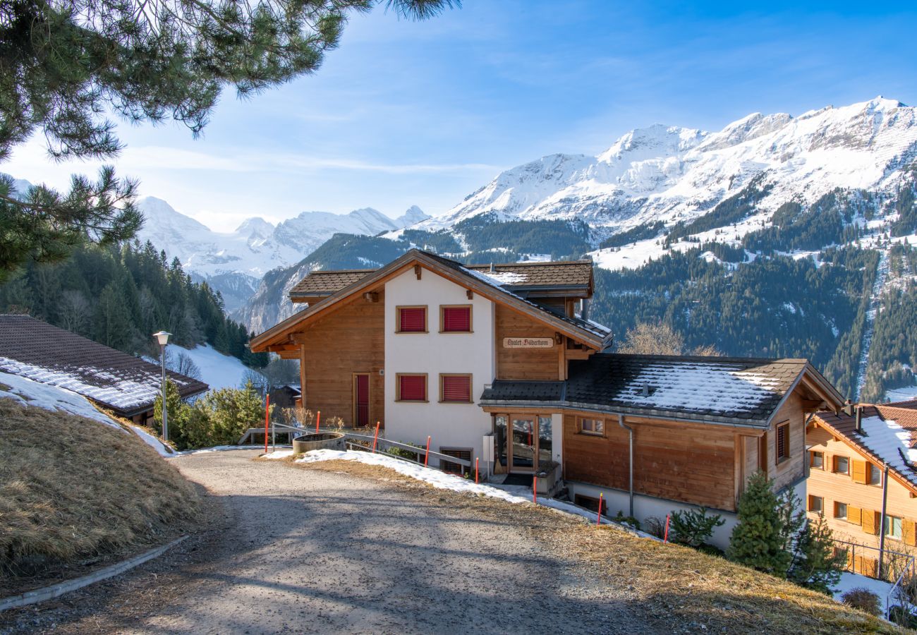 Apartment in Wengen - Chalet Silberhorn Penthouse