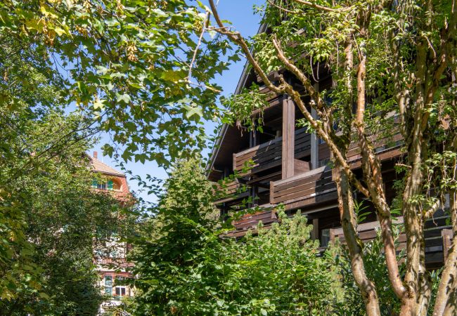 Apartment in Wengen - Chalet Im Gruebi
